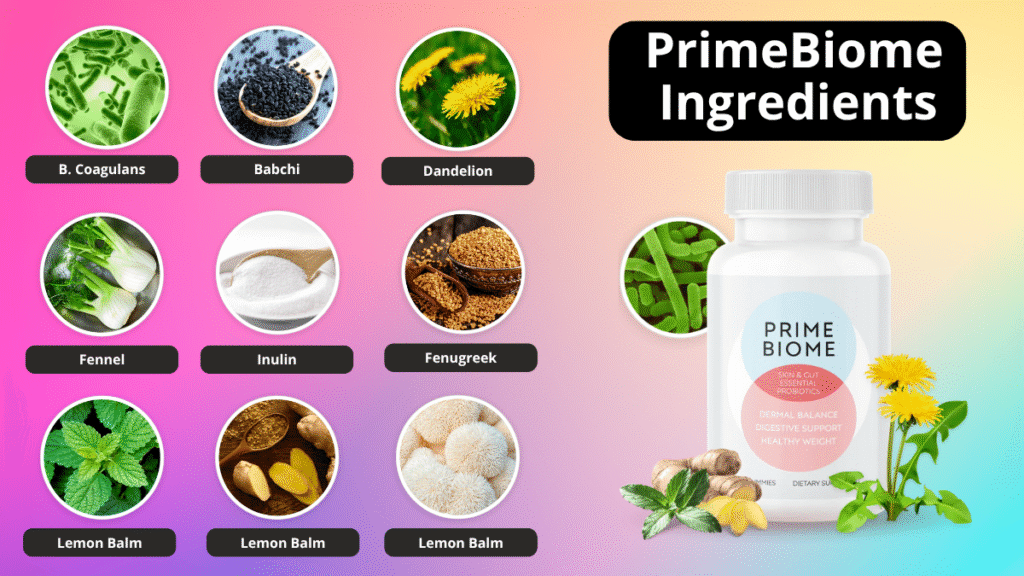 Primebiome Review 2025
